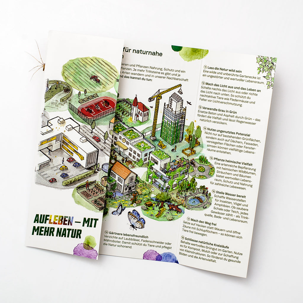 A5-Faltflyer «Aufleben – mit mehr Natur» (50 Stk.)
