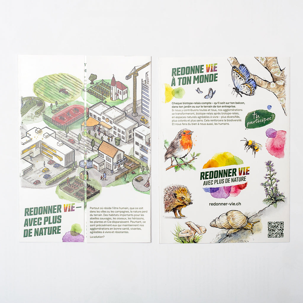 A5-Faltflyer «Aufleben – mit mehr Natur» (50 Stk.)