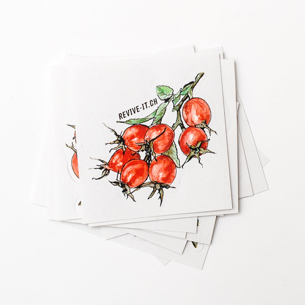 Sticker Hundsrose (20 Stück)