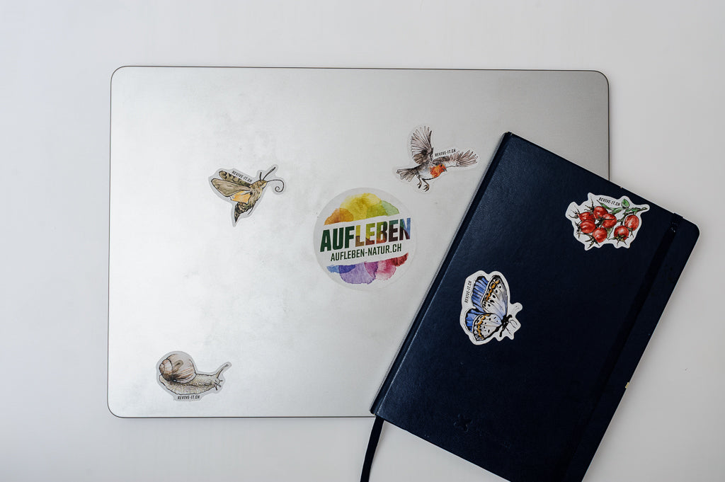 Logo-Sticker gross «Aufleben – mit mehr Natur» (8 Stück auf Bogen)