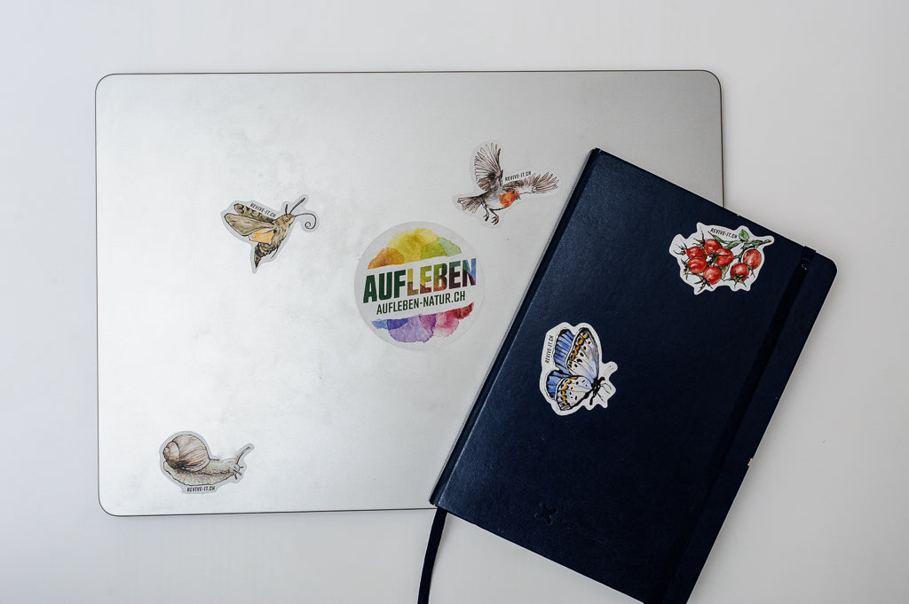 Sticker Rotkehlchen (20 Stück)