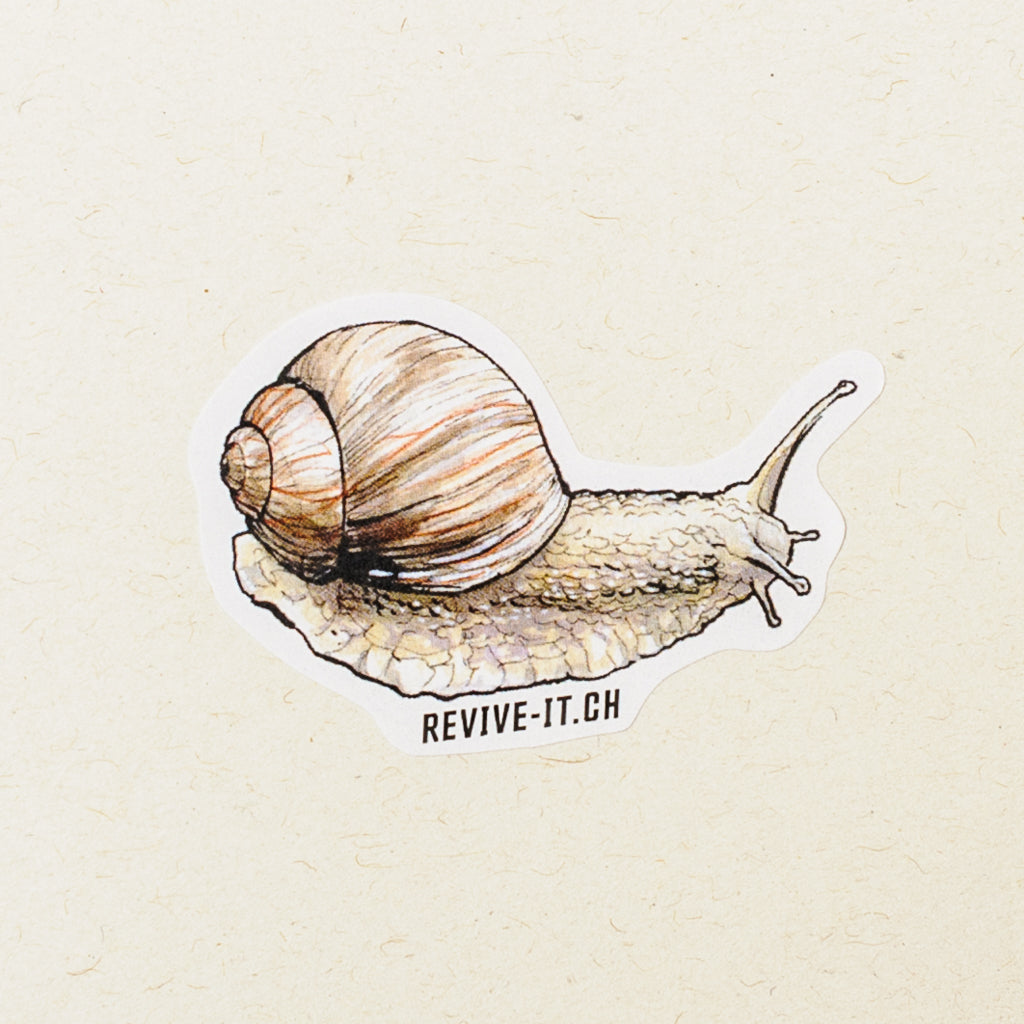 Sticker Weinbergschnecke (20 Stück)